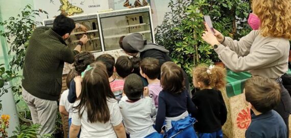 Infanzia: Visita alla casa delle farfalle